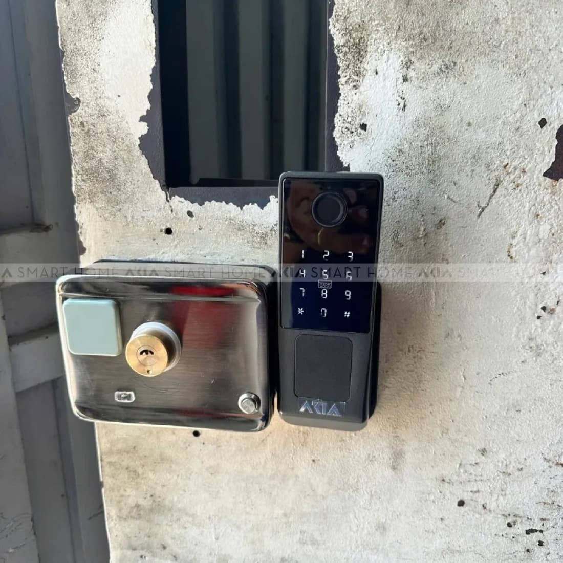 Khóa cổng AKIA G05 lắp trên cổng, panel vân tay và thân khóa inox