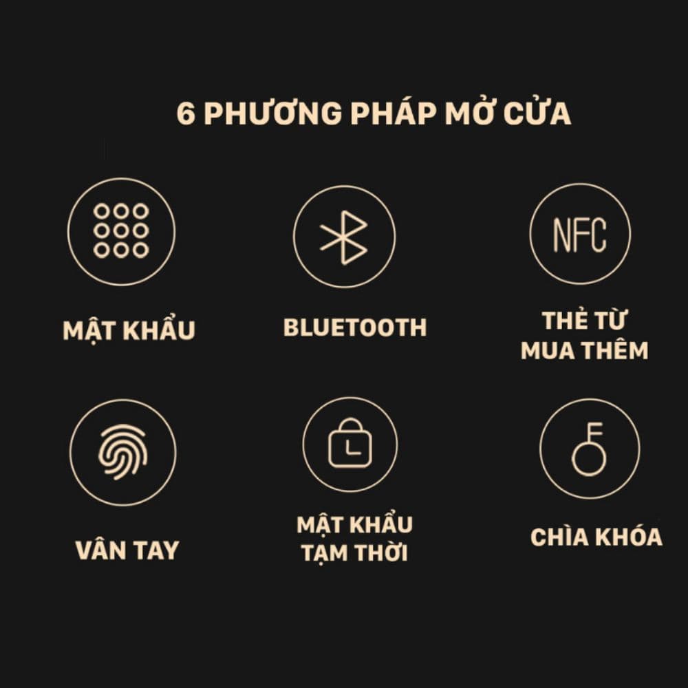 6 cách mở khóa Lockin X9: vân tay, mã PIN, Bluetooth, thẻ NFC, mã tạm thời, chìa cơ